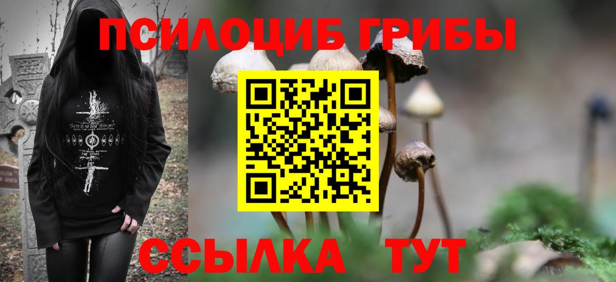 Галлюциногенные грибы MAGIC MUSHROOMS Валуйки